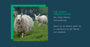 Wie du ein Audit erfolgreich überstehst
