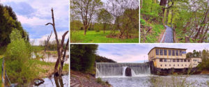 Fluss des Lebens
